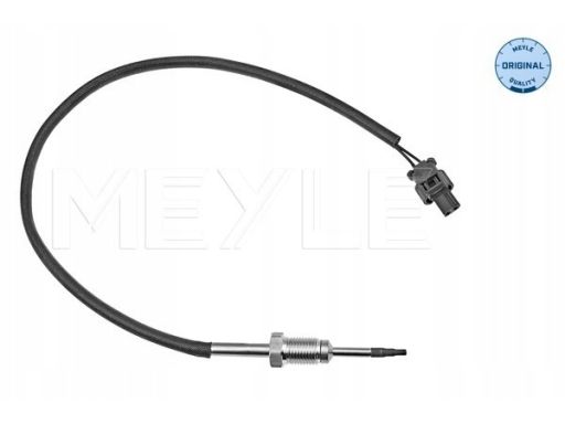 Czujnik Temperatury Spalin 314 800 0059