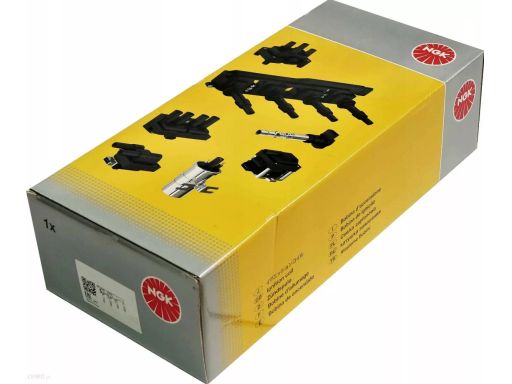 Cewka Zapłonowa 48017