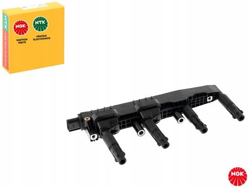 Cewka Zapłonowa 48017