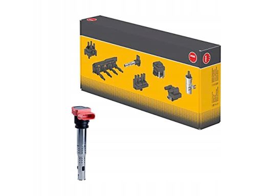 Cewka Zapłonowa 48041