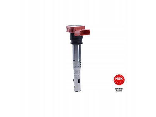 Cewka Zapłonowa 48041