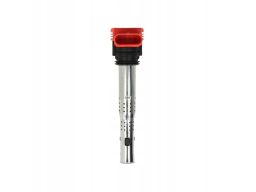 Cewka Zapłonowa 48041