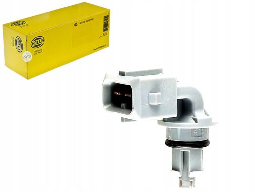 Czujnik Temperatury Powietrza Dolotowego 6Pt 009 109-221