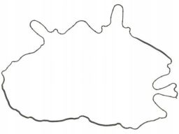 Uszczelka Pokrywy Zaworów 71-38982-00