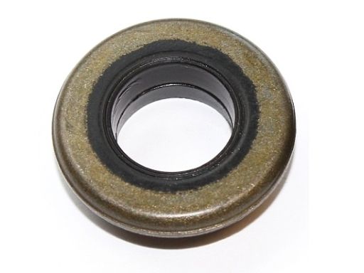 Uszczelka Śruby Pokrywy Zaworów 445.570