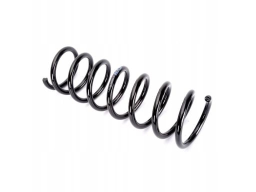 Sprężyna Zawieszenia Ra6692