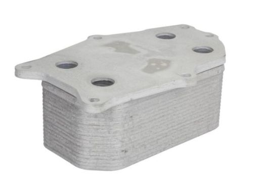 Chłodnica Oleju D4X017Tt