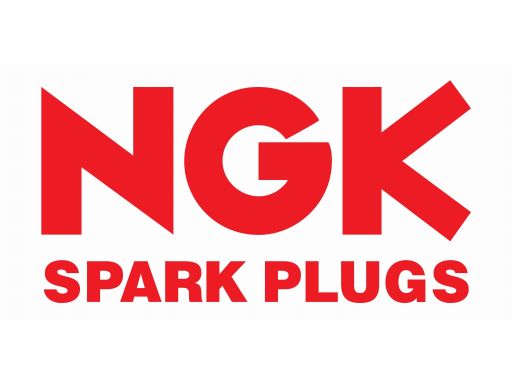 Świeca Zapłonowa Lmar7Di-10