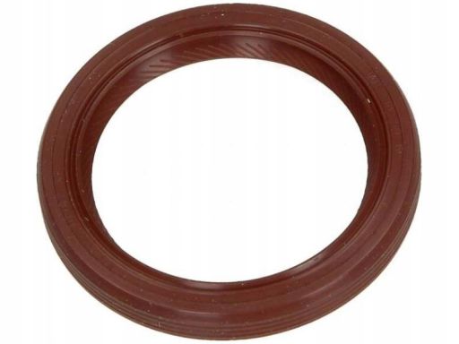 Uszczelniacz Wału Korbowego 81-34146-00