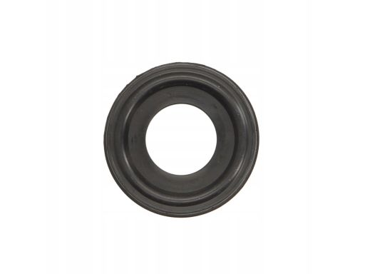 Uszczelka Pokrywy Zaworów 912.510