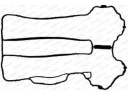 Uszczelka Pokrywy Zaworów Jm5121