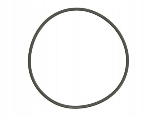 Uszczelka Czujnika Poziomu Paliwa 3.32038.02.0