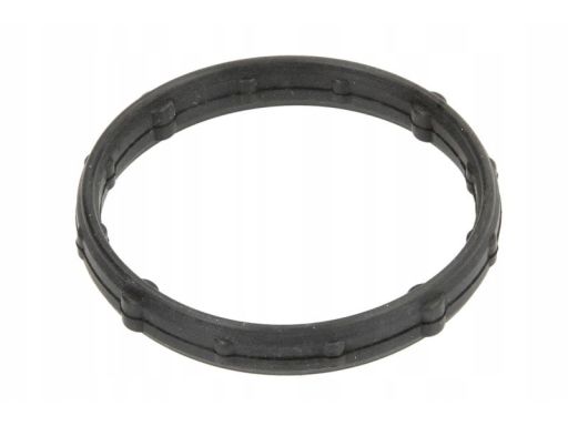 Pierścień Uszczelniający Czujnika Poziom 560.690