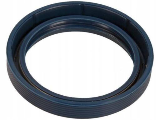 Uszczelniacz Piasty Koła 12011175B