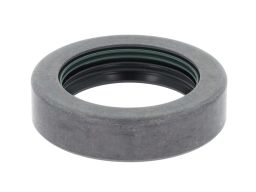 Uszczelka Przekładni Głównej 12019329B