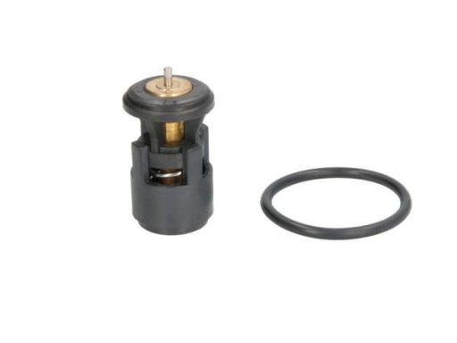 Termostat Środka Chłodzącego D2A005Tt