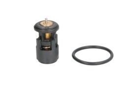 Termostat Środka Chłodzącego D2A005Tt