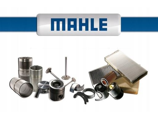 Zbiorniczek Wyrównawczy Płynu Chłodząceg Crt 19 000S