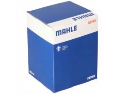 Zbiorniczek Wyrównawczy Płynu Chłodząceg Crt 19 000S