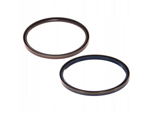 Uszczelniacz Piasty Koła 19016903