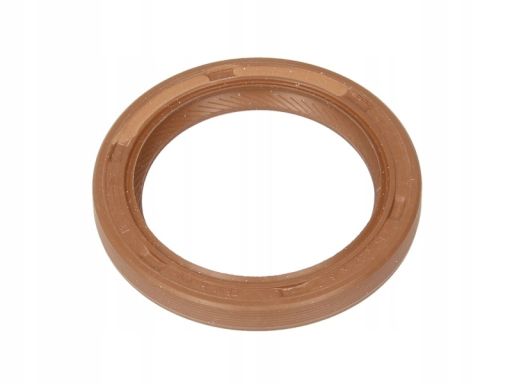 Uszczelniacz Wału Korbowego 20019851B