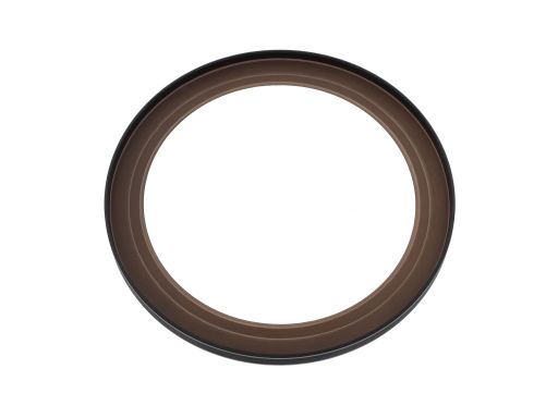 Uszczelniacz Wału Korbowego 20029788B