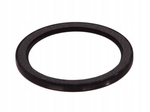 Uszczelniacz Wału Korbowego 20029788B