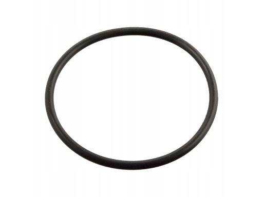 Uszczelka Termostatu 11443