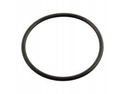 Uszczelka Termostatu 11443