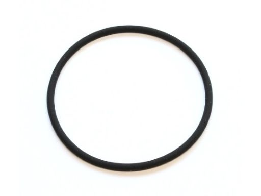 Uszczelka Termostatu 290.860