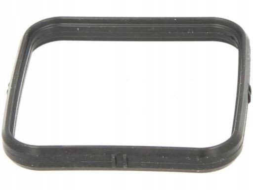 Uszczelka Obudowy Termostatu 448.470