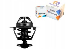 Termostat Środka Chłodzącego Th6319.85J