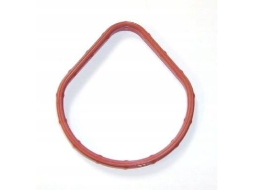 Uszczelka Obudowy Termostatu 728.740