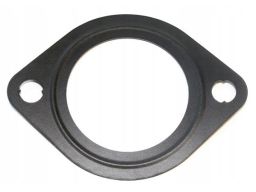 Uszczelka Pompy Cieczy Chłodzącej 257.830