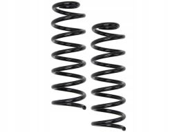 Sprężyna Zawieszenia Ra6113