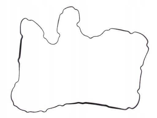 Uszczelka Pokrywy Zaworów 569.490