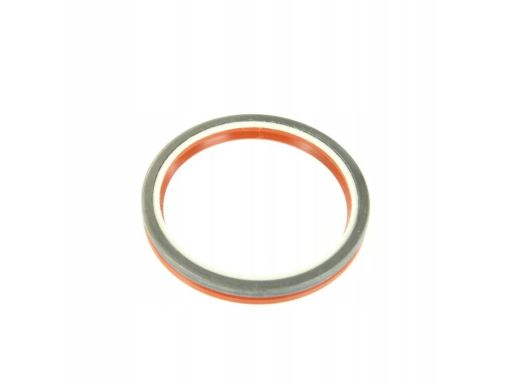 Uszczelniacz Wału Korbowego 225.666