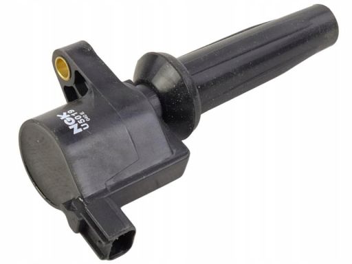 Cewka Zapłonowa 48063
