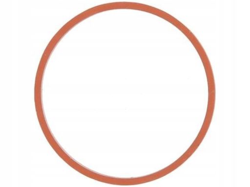 Uszczelka Rury Kolektora Dolotowego 734.800