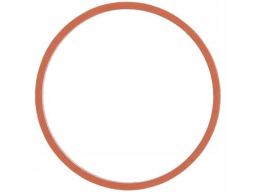 Uszczelka Rury Kolektora Dolotowego 734.800