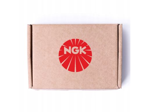 Świeca Żarowa/Płomieniowa 94103