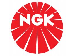 Świeca Zapłonowa 4856