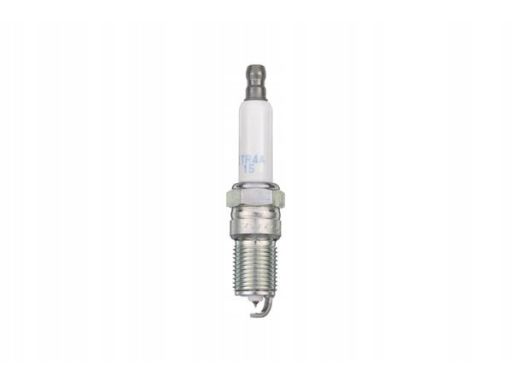Świeca Zapłonowa 5599
