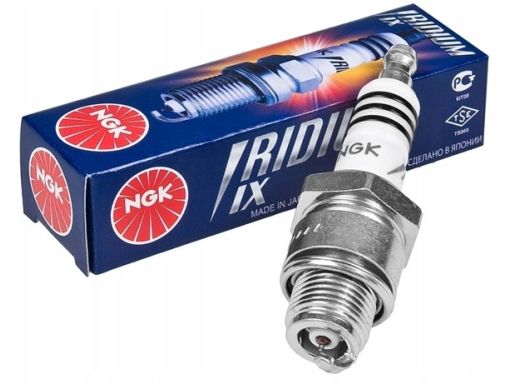 Świeca Zapłonowa 5599