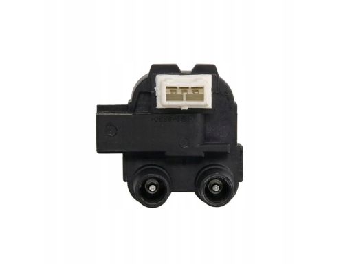 Cewka Zapłonowa 060717069012