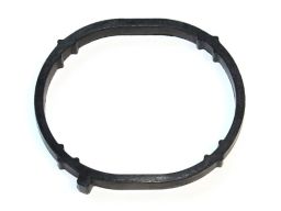 Uszczelka Kolektora Dolotowego 172.460