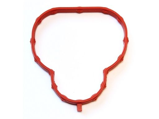 Uszczelka Kolektora Dolotowego 215.140