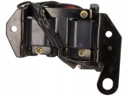 Cewka Zapłonowa 060717189012