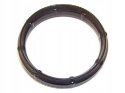 Uszczelka Kolektora Dolotowego 331.630