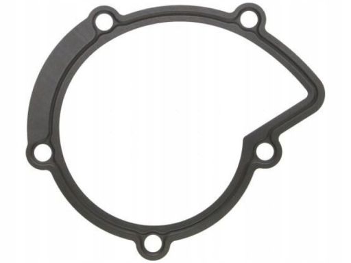 Uszczelka Pompy Cieczy Chłodzącej 394.280